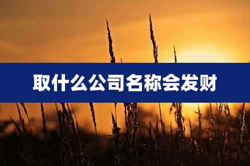 取什么公司名称会发财