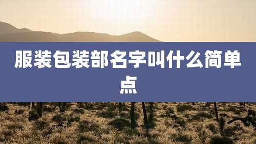 服装包装部名字叫什么简单点