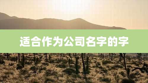 适合作为公司名字的字