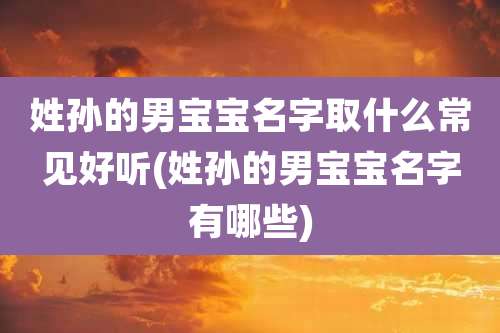 姓孙的男宝宝名字取什么常见好听(姓孙的男宝宝名字有哪些)