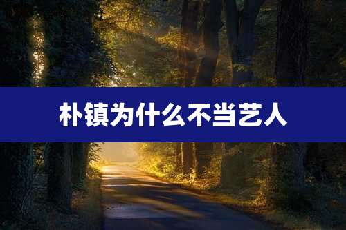 朴镇为什么不当艺人