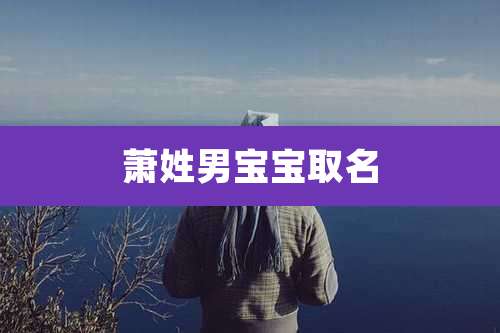萧姓男宝宝取名