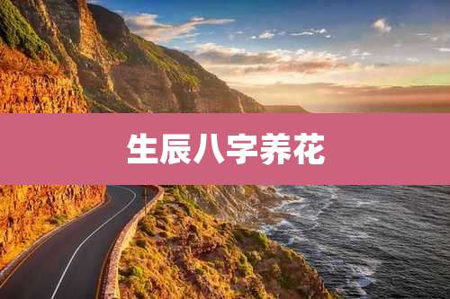 生辰八字养花
