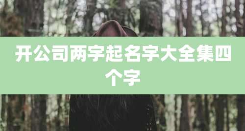 开公司两字起名字大全集四个字