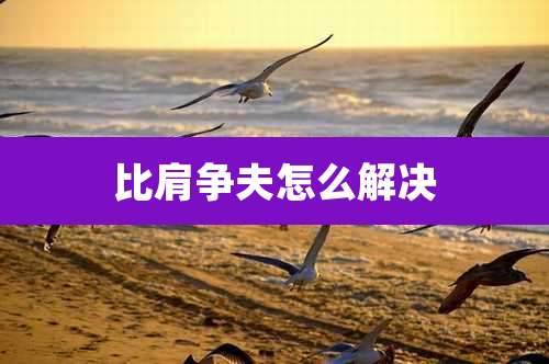 比肩争夫怎么解决