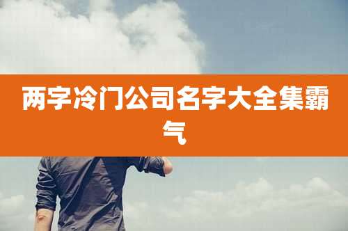 两字冷门公司名字大全集霸气
