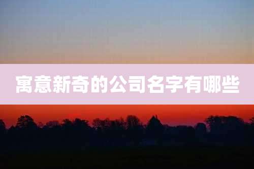 寓意新奇的公司名字有哪些