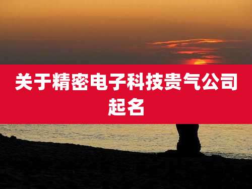 关于精密电子科技贵气公司起名