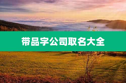 带品字公司取名大全