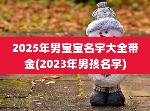 2025年男宝宝名字大全带金(2023年男孩名字)