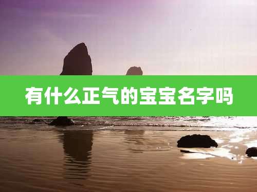 有什么正气的宝宝名字吗