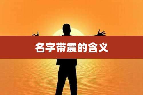 名字带震的含义