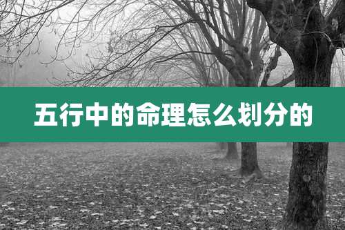 五行中的命理怎么划分的
