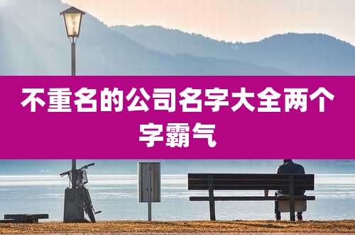 不重名的公司名字大全两个字霸气