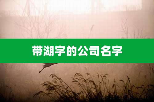 带湖字的公司名字