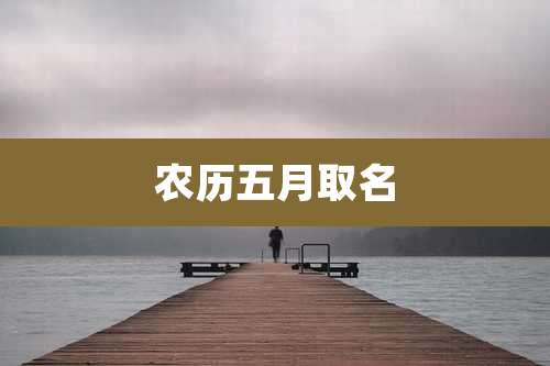 农历五月取名