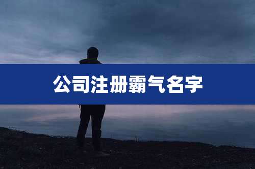 公司注册霸气名字