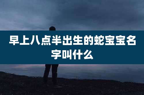早上八点半出生的蛇宝宝名字叫什么