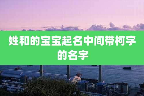 姓和的宝宝起名中间带柯字的名字