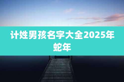 计姓男孩名字大全2025年蛇年