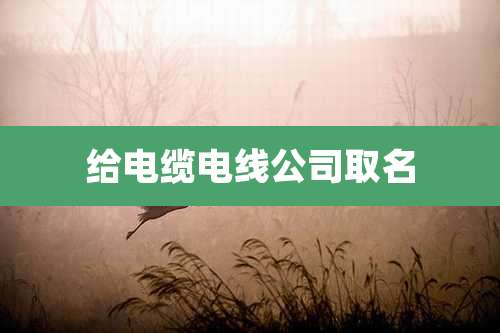 给电缆电线公司取名