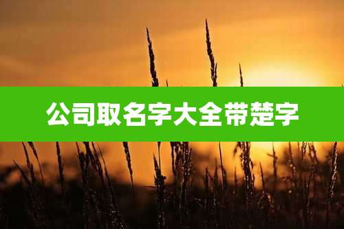 公司取名字大全带楚字