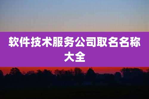软件技术服务公司取名名称大全