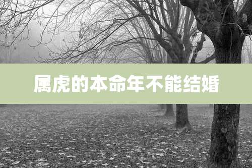 属虎的本命年不能结婚