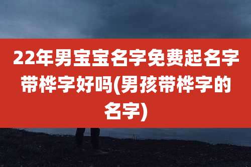 22年男宝宝名字免费起名字带桦字好吗(男孩带桦字的名字)