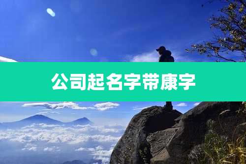 公司起名字带康字