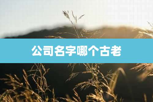 公司名字哪个古老