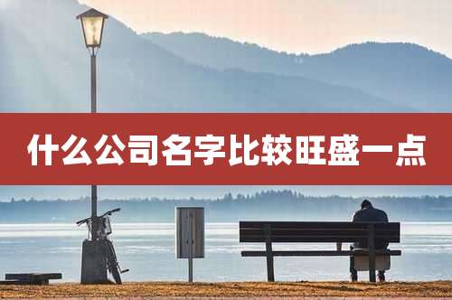 什么公司名字比较旺盛一点