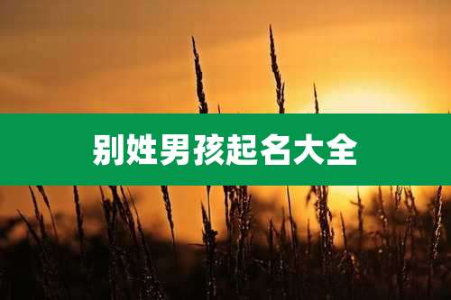 别姓男孩起名大全