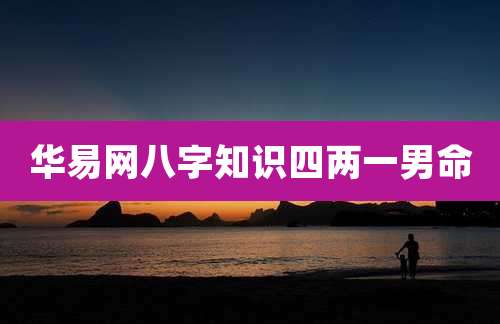 华易网八字知识四两一男命