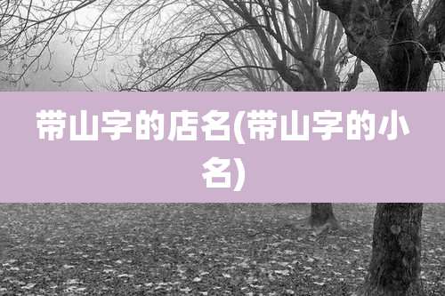 带山字的店名(带山字的小名)