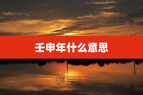 壬申年什么意思