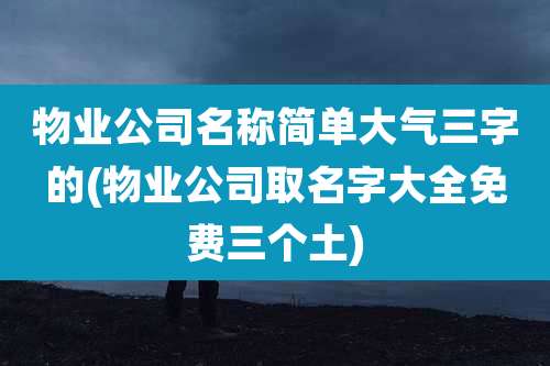 物业公司名称简单大气三字的(物业公司取名字大全免费三个土)