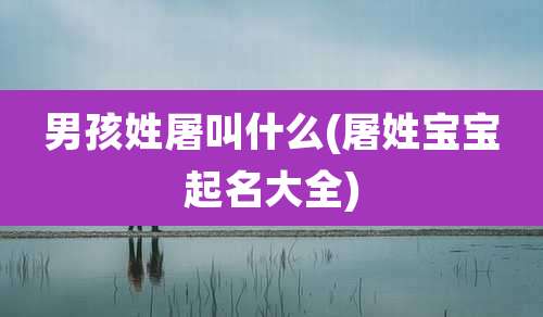 男孩姓屠叫什么(屠姓宝宝起名大全)