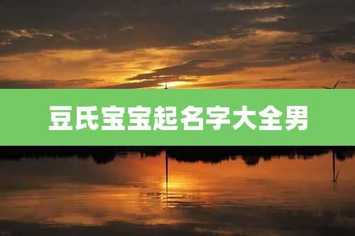 豆氏宝宝起名字大全男