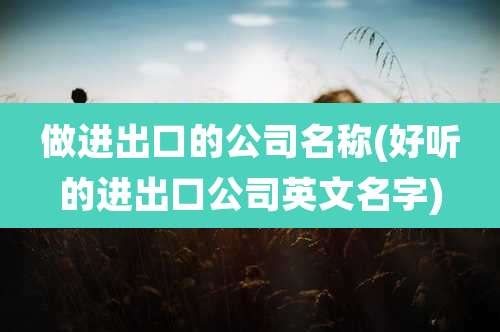 做进出口的公司名称(好听的进出口公司英文名字)