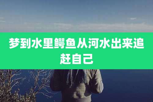 梦到水里鳄鱼从河水出来追赶自己