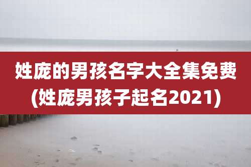 姓庞的男孩名字大全集免费(姓庞男孩子起名2021)