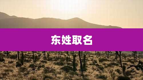 东姓取名