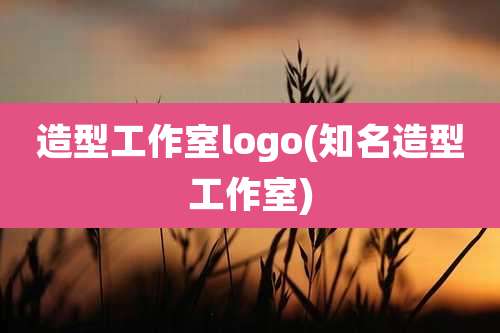 造型工作室logo(知名造型工作室)
