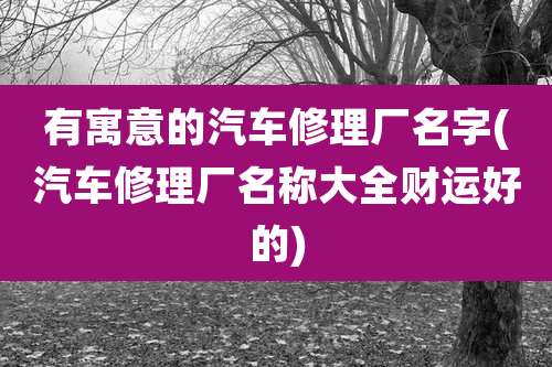 有寓意的汽车修理厂名字(汽车修理厂名称大全财运好的)