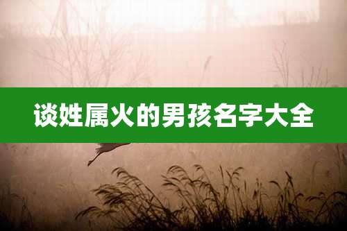 谈姓属火的男孩名字大全