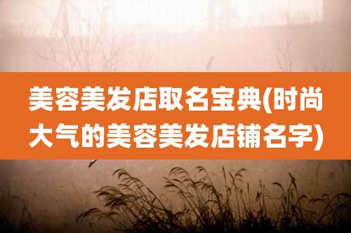 美容美发店取名宝典(时尚大气的美容美发店铺名字)