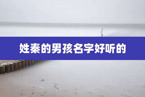 姓秦的男孩名字好听的