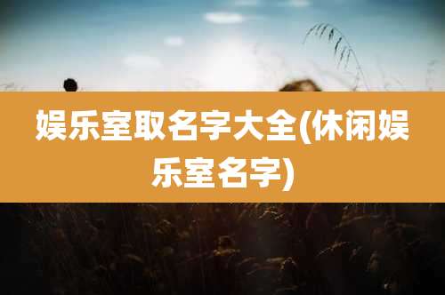 娱乐室取名字大全(休闲娱乐室名字)