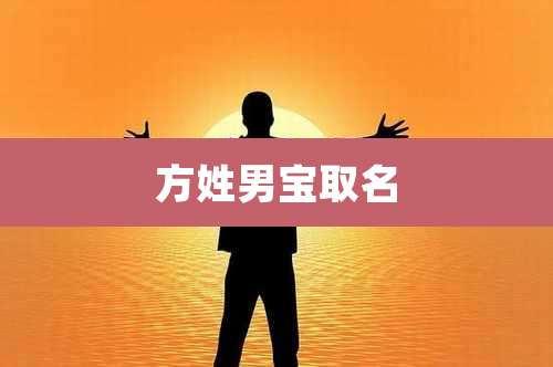方姓男宝取名